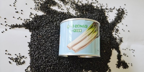 有的大蔥種子價格為什么這么貴？便宜的種子有什么差別？