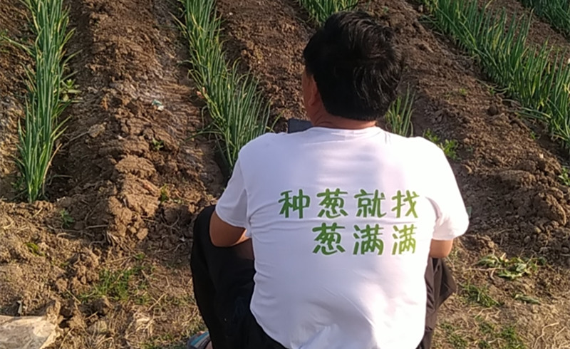 種蔥就找蔥滿滿
