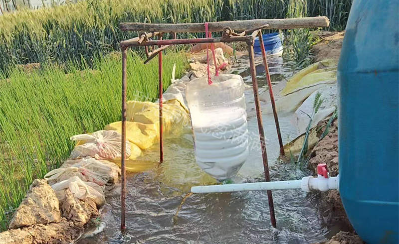 肥水沖施防治病蟲害