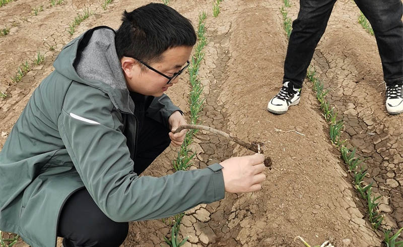 蔥滿滿線下指導蔥友