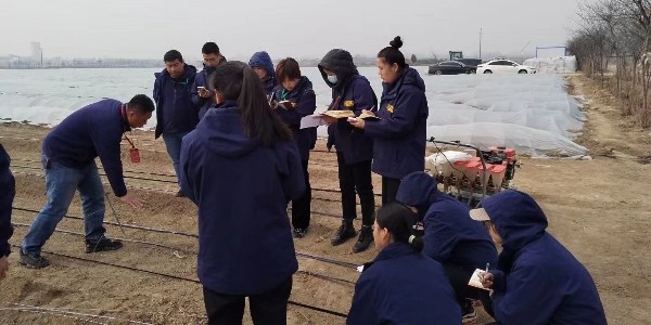 蔥滿滿技術(shù)團(tuán)隊(duì)赴新鄉(xiāng)大蔥雙高種植教學(xué)基地學(xué)習(xí)