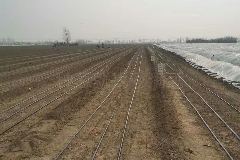 蔥滿滿新鄉基地