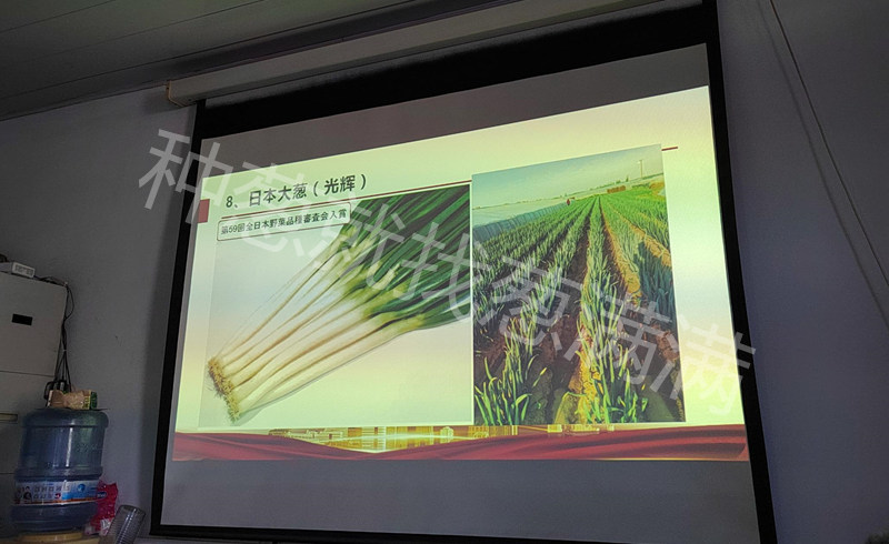 光輝新種