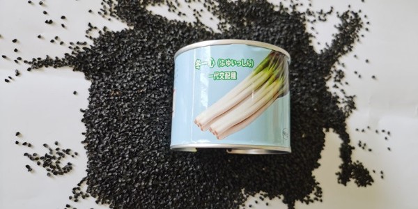正規(guī)大蔥種子上哪買?假劣種子壞處多