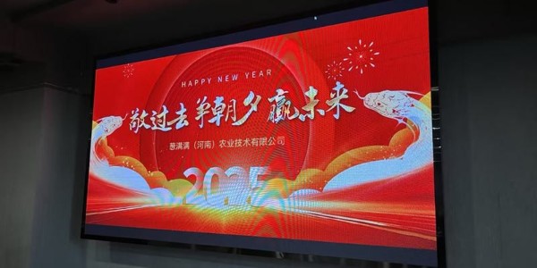 敬過去,爭朝夕,贏未來,蔥滿滿2024年終總結(jié)暨2025年展望