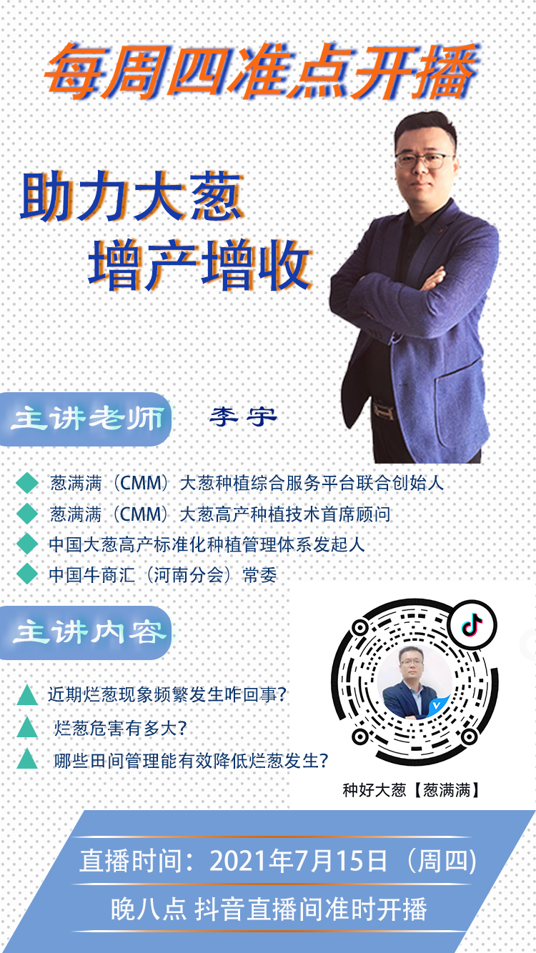 蔥滿滿大蔥種植技術