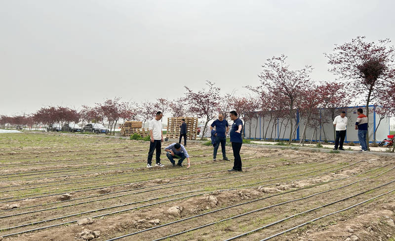山東省種子公司到基地考察