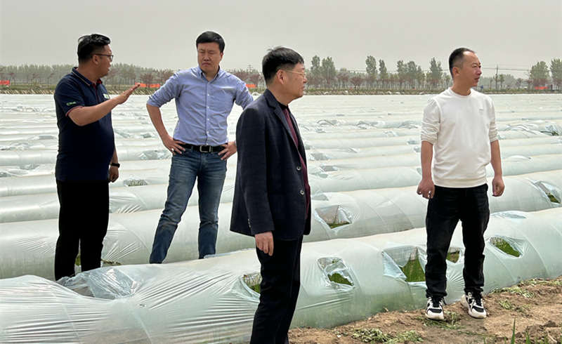 農業專家蒞臨考察