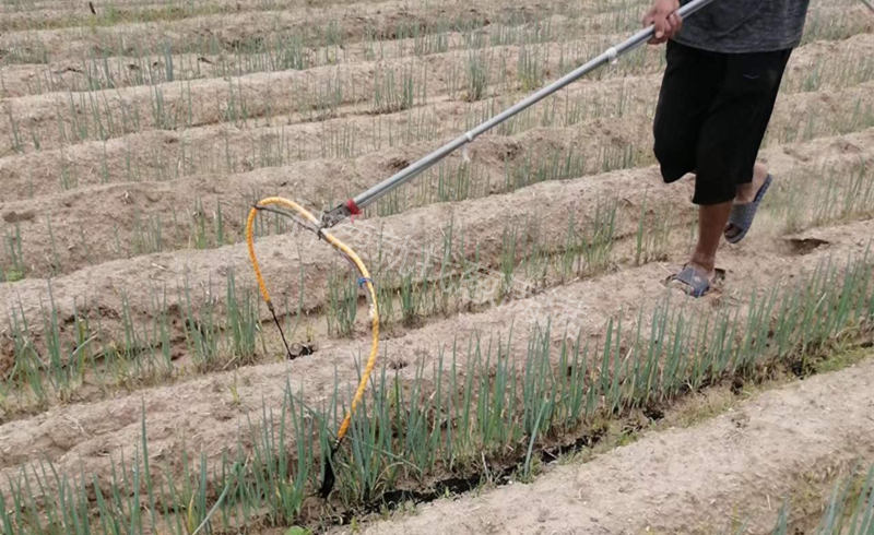 藥劑淋根