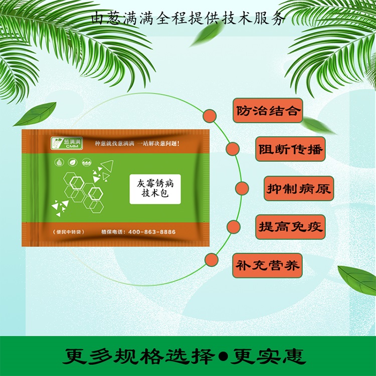大蔥灰霉病用什么藥防治