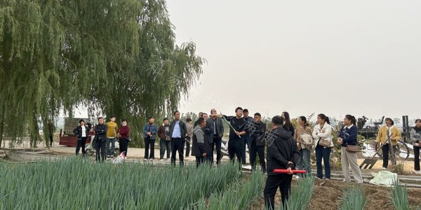 新鄉(xiāng)市職業(yè)農(nóng)民培訓(xùn)班學(xué)員到蔥滿滿基地考察學(xué)習(xí)