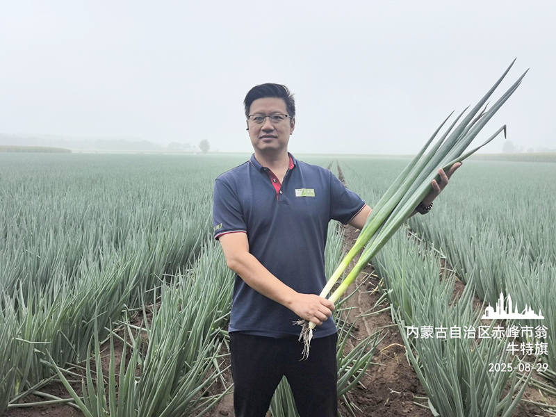 美白一號赤峰實拍