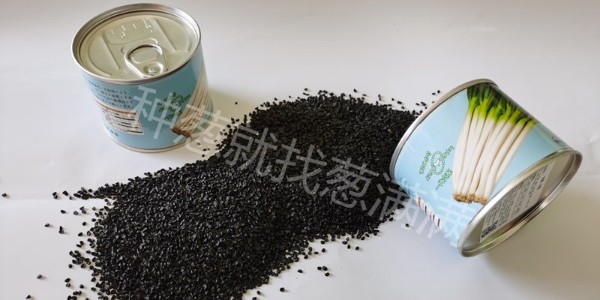 極晚抽大蔥種子哪個品種好
