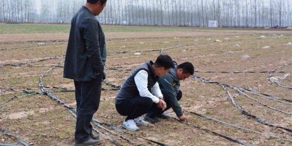 蔥滿滿線下技術指導紀實：漯河臨潁