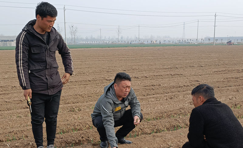 蔥滿滿線下技術指導