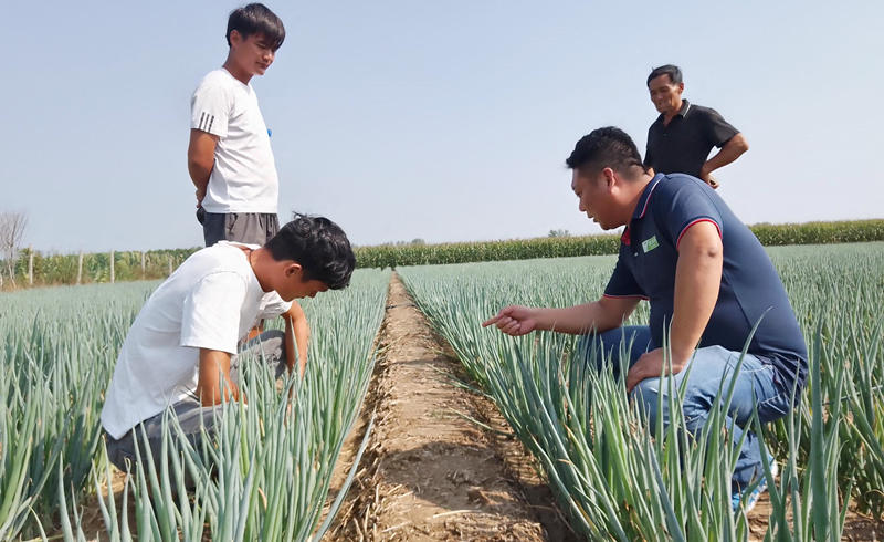 蔥滿滿線下技術指導