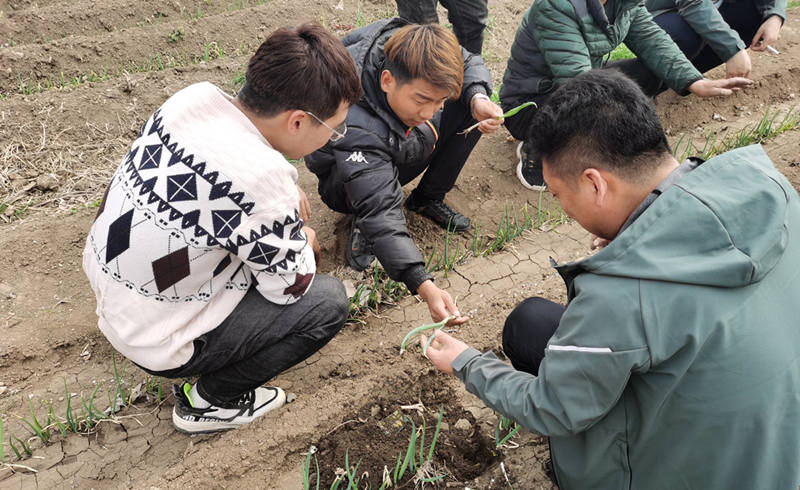 線下技術指導