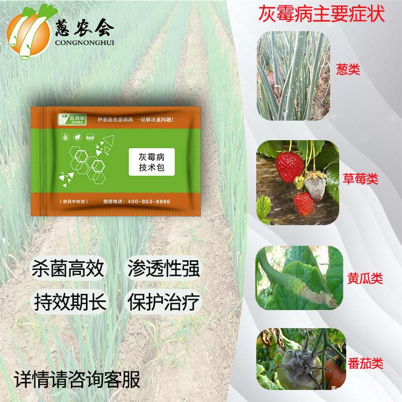 灰霉病技術包