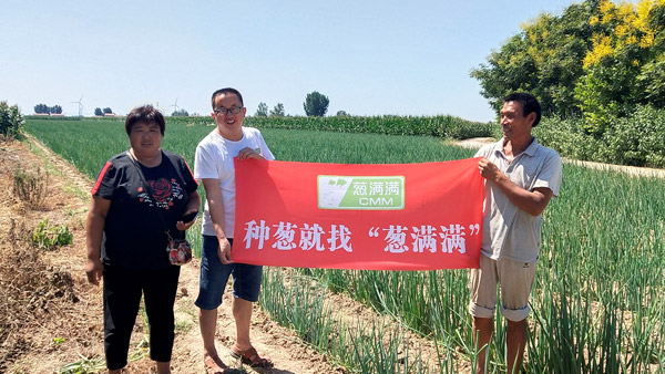 大蔥種植地下害蟲解決方案合作案例