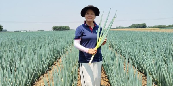 李方芳：砥礪深耕科學(xué)種蔥
