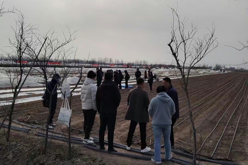 蔥滿滿基地