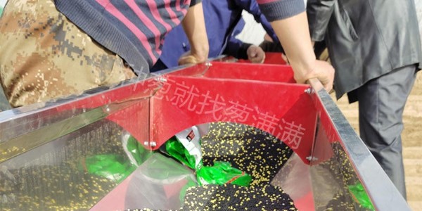 大蔥育苗后多長(zhǎng)時(shí)間可以開溝整地?整地需要施肥嗎?