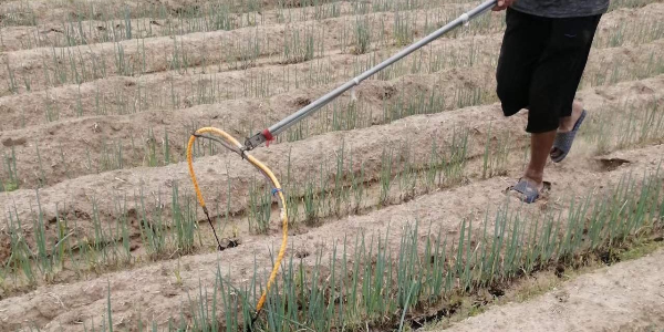 礦源黃腐酸鉀和枯草芽孢桿菌都有哪些作用？什么時候可以使用？