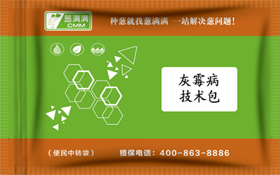 大蔥灰霉病