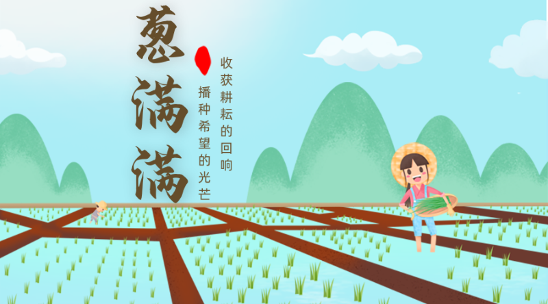 大蔥種植技術