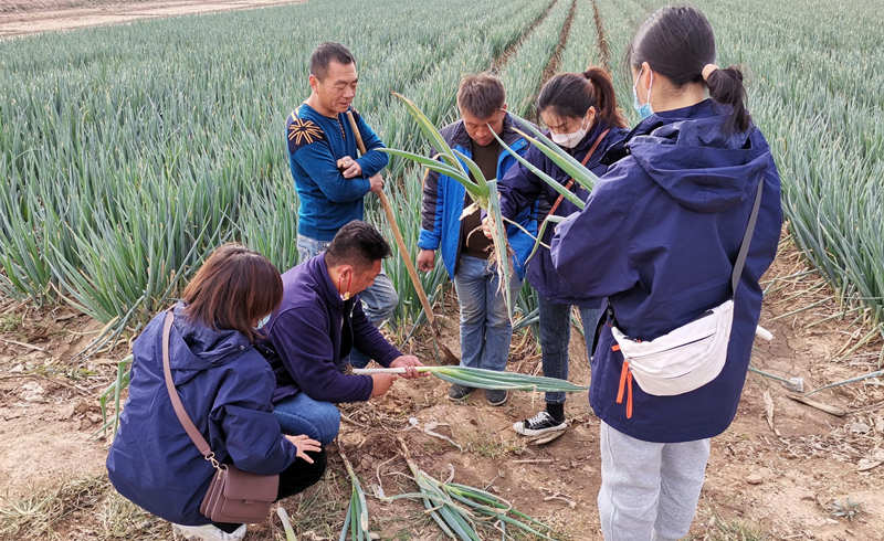 蔥滿滿線下技術指導中