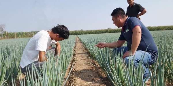 蔥滿滿線下技術指導：周口西華