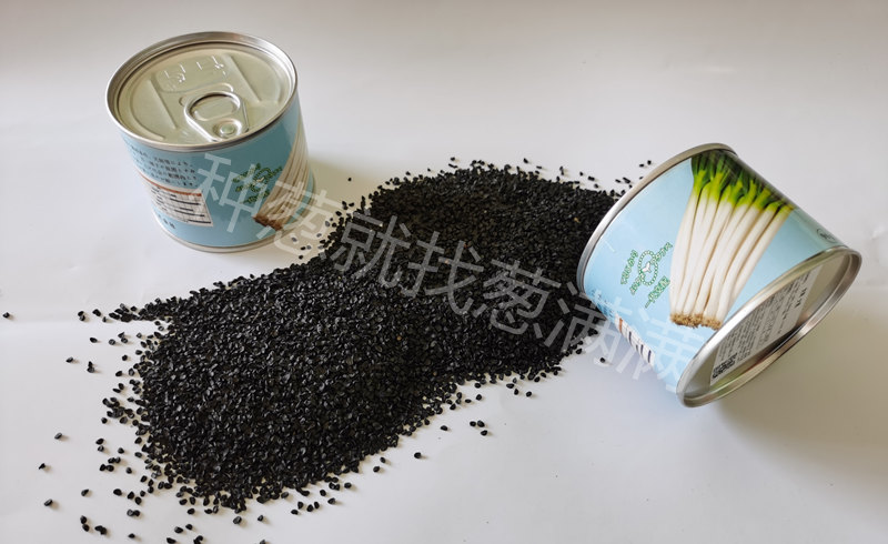 光輝種子