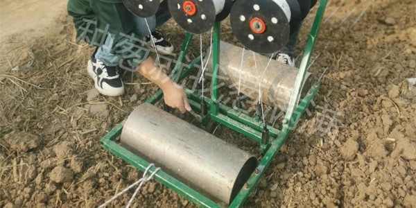 大蔥種子怎么播種?蔥籽種植方法