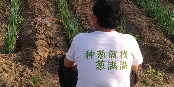 五一勞動節，蔥滿滿致敬種蔥人
