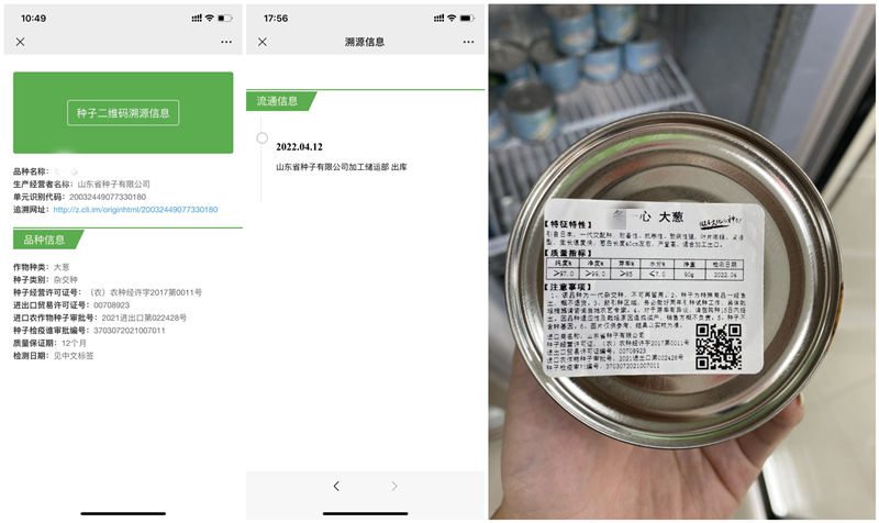 大蔥種子溯源碼圖示