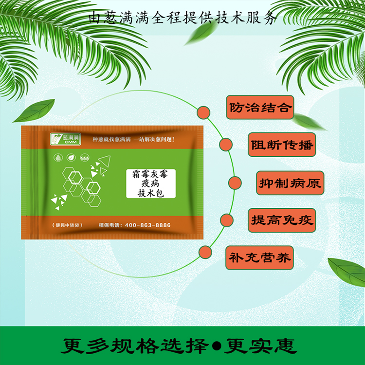 大蔥疫病用什么藥防治