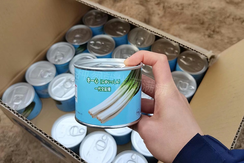 冬一心大蔥種子