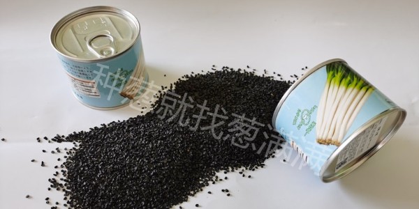 大蔥種子為什么漲價?哪種大蔥種子比較好?