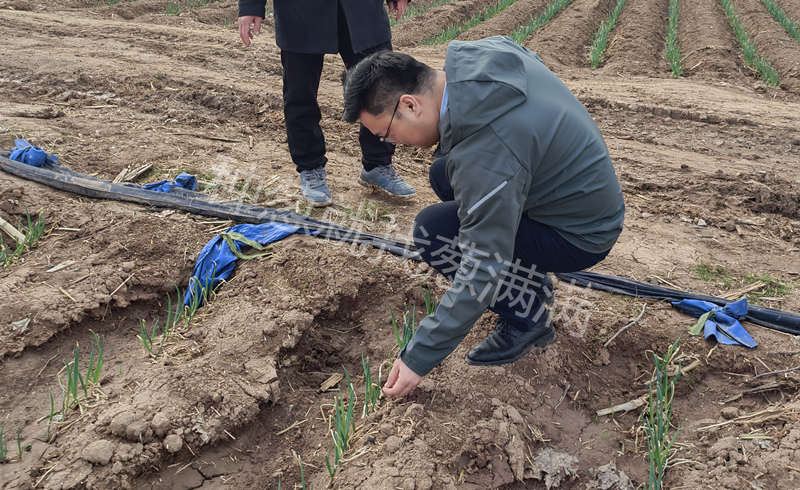 蔥滿滿線下指導