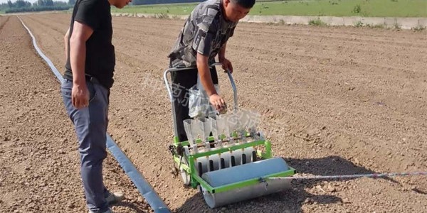 蔥滿滿合作代育苗基地播種現場