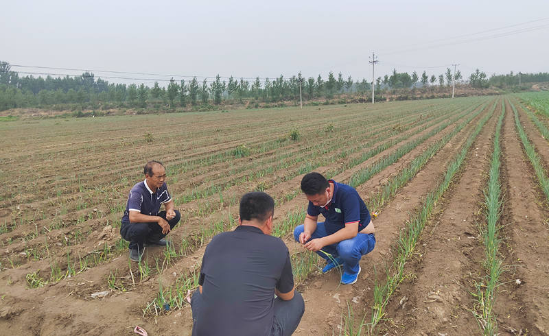 蔥滿滿線下技術指導