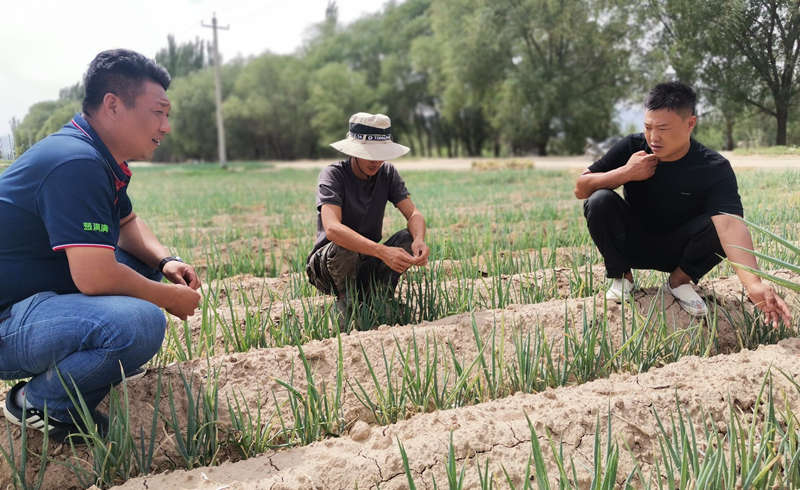 蔥滿滿線下技術指導合影