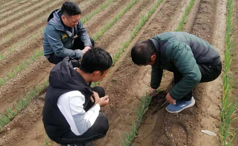 蔥滿滿指導蔥農育苗現場