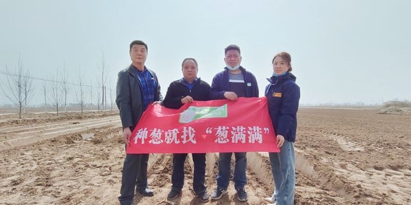 蔥滿滿線下技術指導紀實：河北冀州