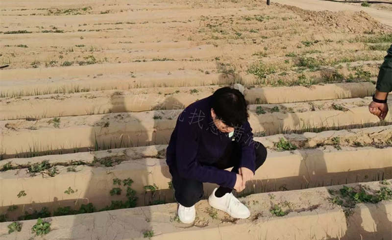 蔥滿滿線下駐地服務(wù)