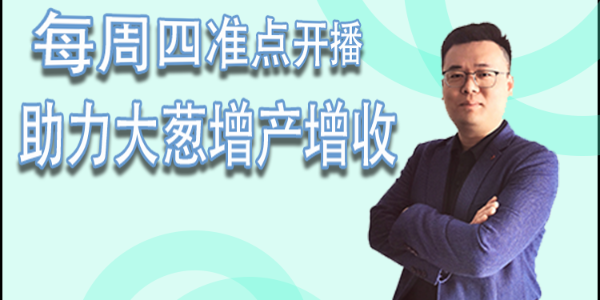 大蔥種植技術