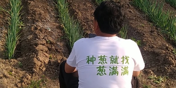 蔥滿滿服務升級，種蔥就找蔥滿滿