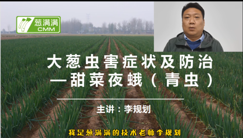 視頻講解截圖